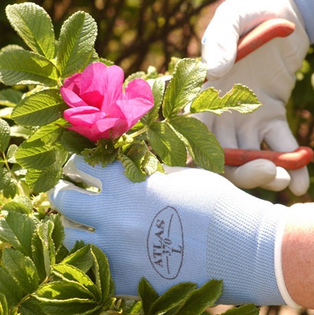 garden gloves