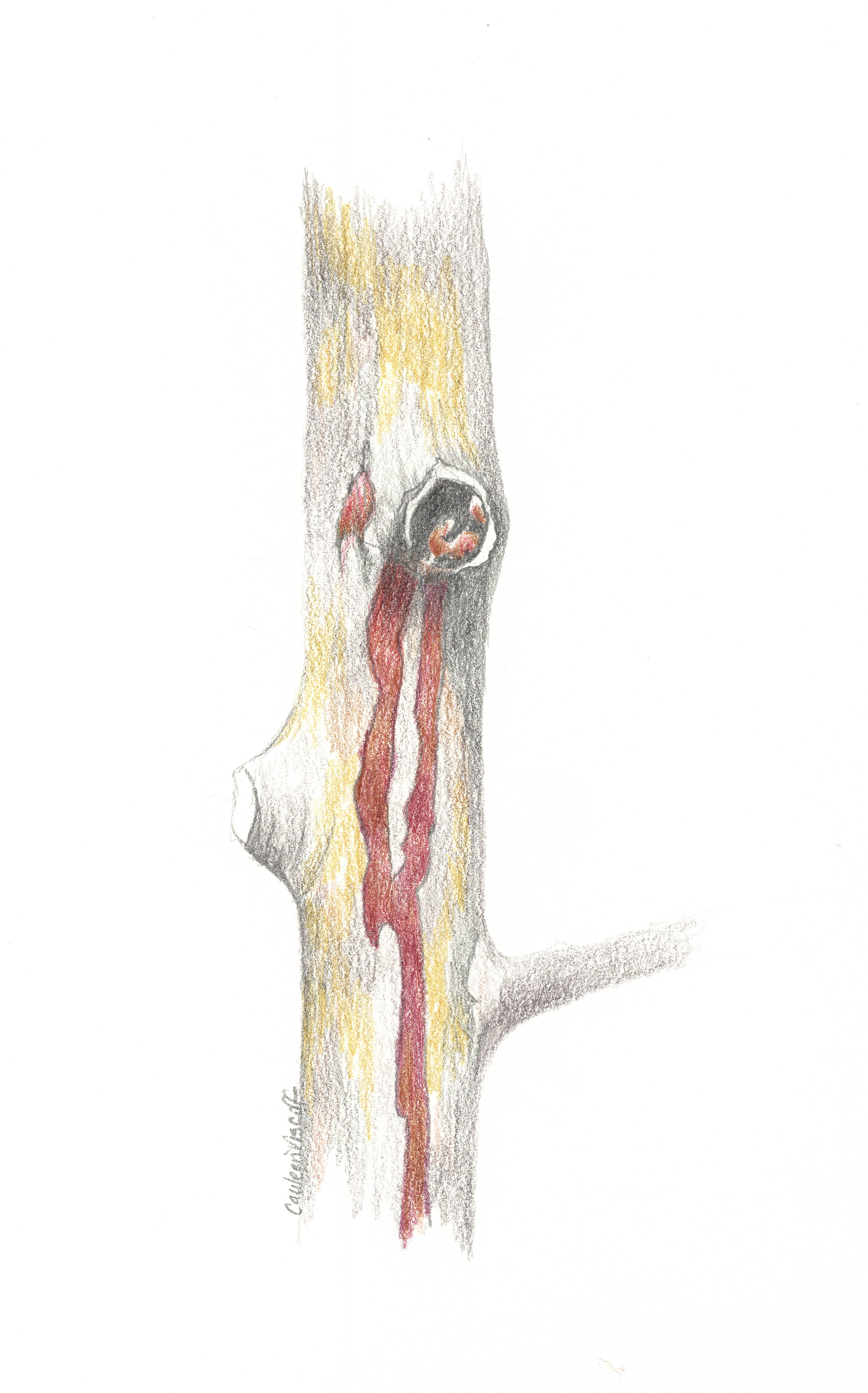 pathogen-ooze-sketch