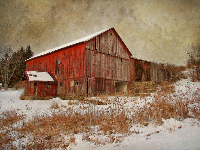 Why Are Barns Painted Red