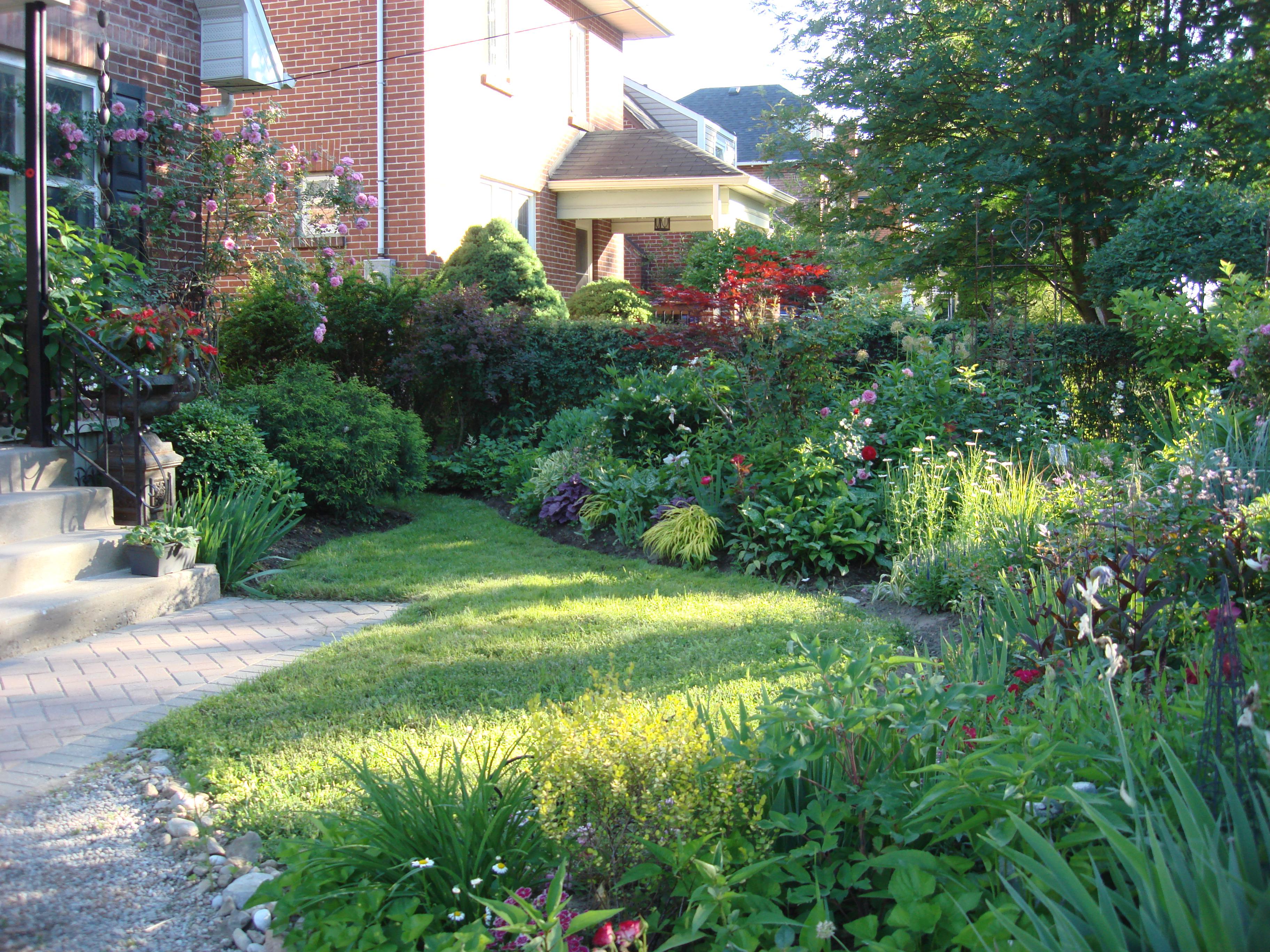 trees-and-shrubs
