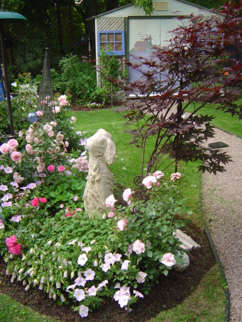 Rose garden in bloom