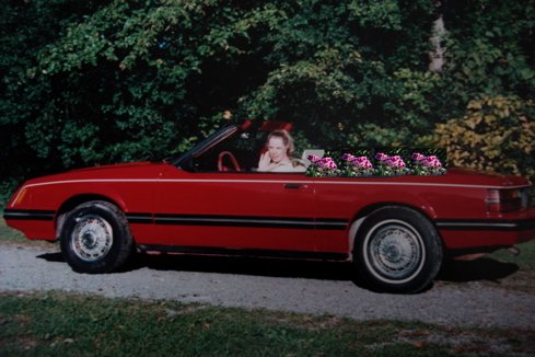 plants in my red convertible